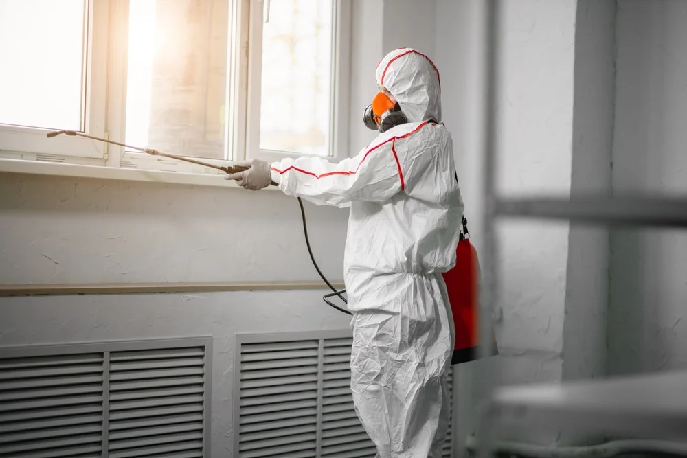 Professional mold remediation services in Indian Rocks Beach, FL